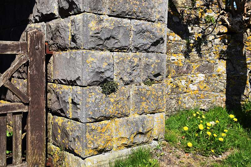 Dressed_blocks of Carboniferous Limestone