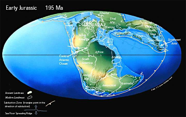 Figure 27. The Early Jurassic World