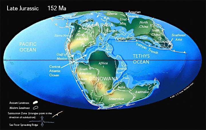Figure 28. The Late Jurassic World
