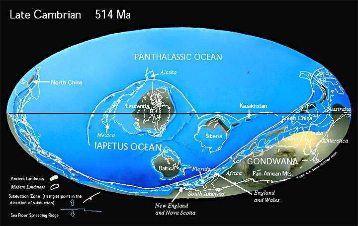 Figure 4 Late Cambrian