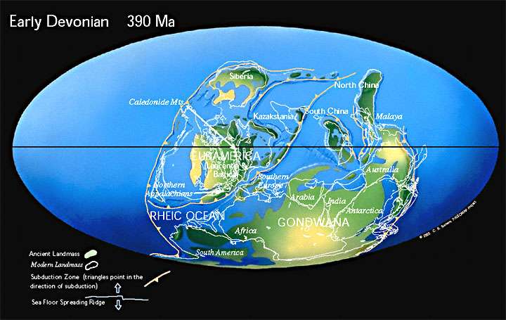 Figure 7 Early Devonian